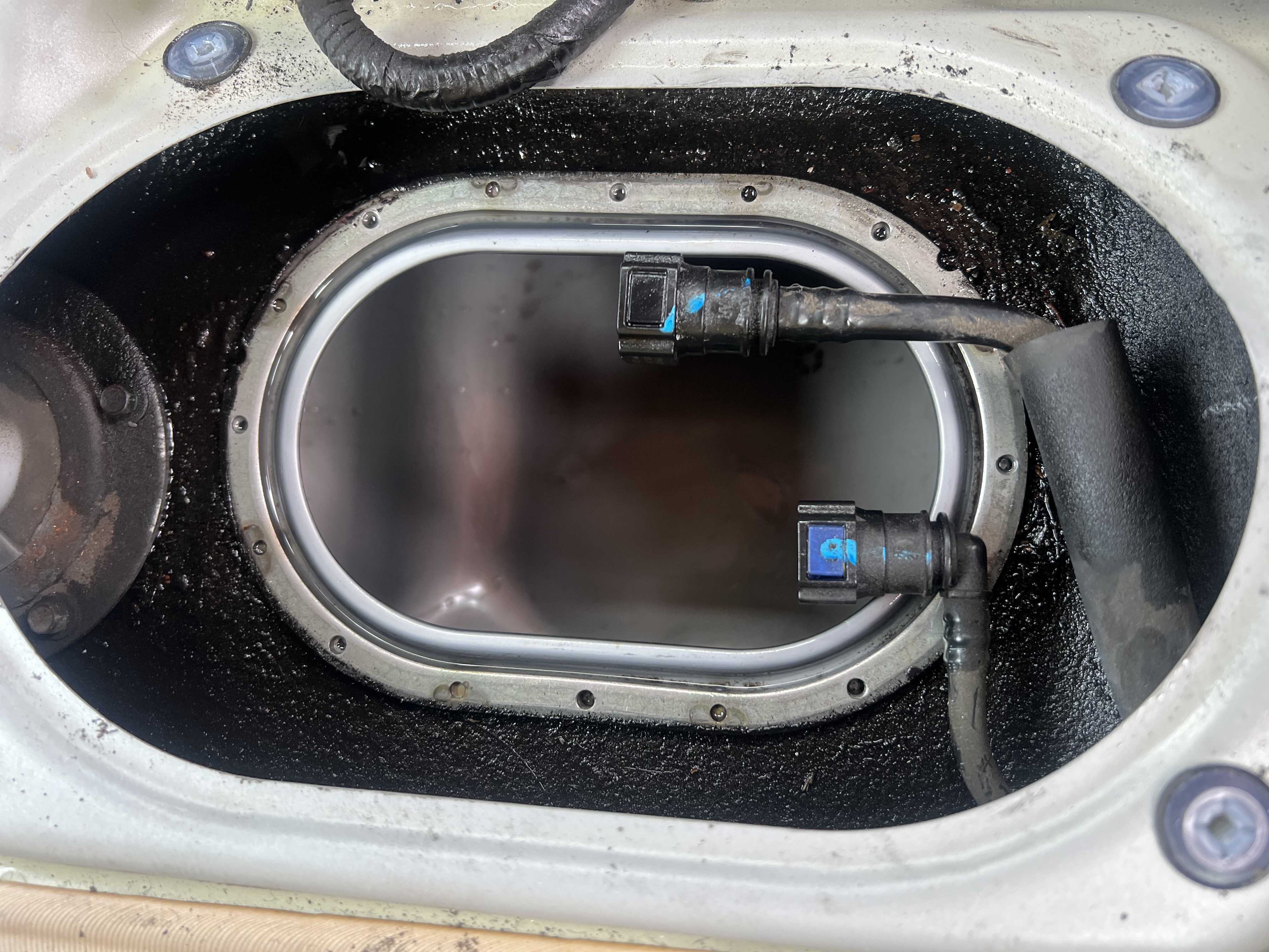 ADBLUE IN A PETROL TANK?